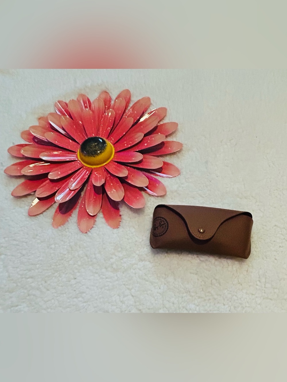Ray-ban sunglasses case